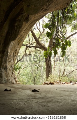 Cave in the forest of Northern Thailand.