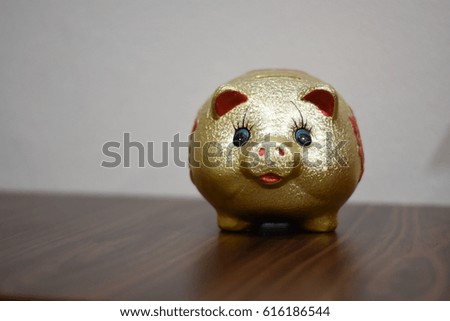 golden pig