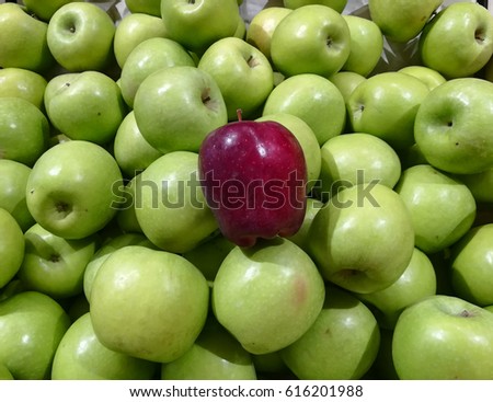 One red apple stand out among a group of green apples