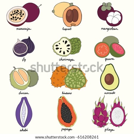 Exotic fruits. Set of vector illustrations for design and decoration of textiles, packages, covers, wallpapers and kitchen tools