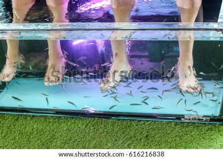 Fish spa feet pedicure skin care treatment with the fish rufa garra,
