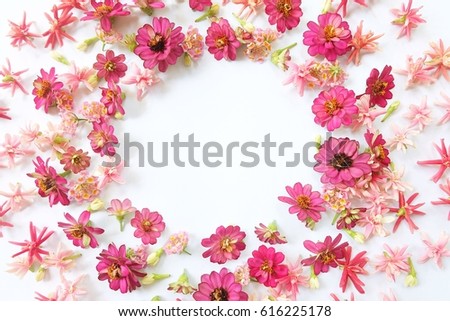 Frame of pink flowers isolated on white background