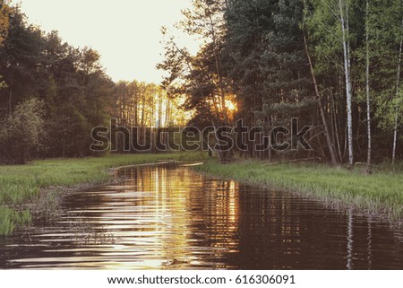 Wonderful sunset over the river in the forest in Poland