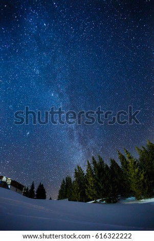Beautifull scenery of a night winter starry sky above pine forest, long exposure photo of midnight stars and snowy woods landscape