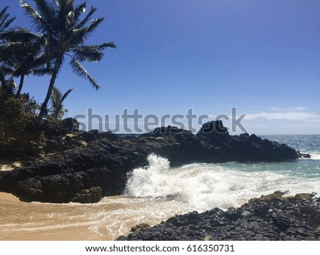 Hawaiian Tide