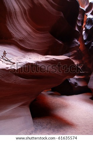 A dead limb on a ledge adds interest to an already spectacular slot canyon image from world-famous Antelope Canyon in Page, Arizona