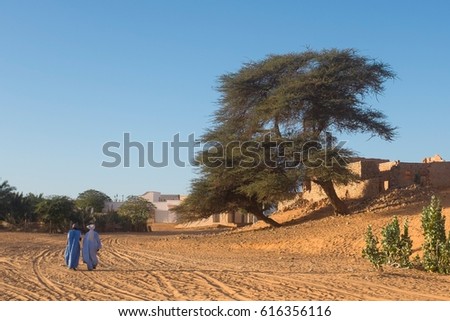 Scene with Locust Tree and Traditionally Clothed Men in Mauritania Royalty-Free Stock Photo #616356116