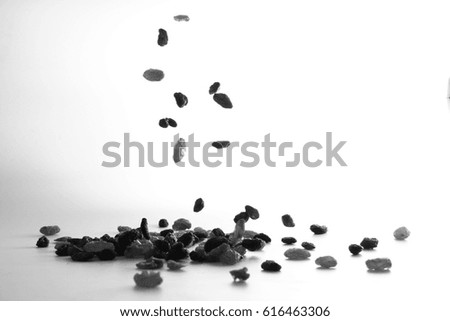 Raisin in white background / A raisin is a dried grape. Raisins are produced in many regions of the world and may be eaten raw or used in cooking, baking, and brewing.
