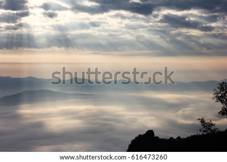 beam of loght and fog at Doi Samer-Dao in Nan (Sri Nan National Park)