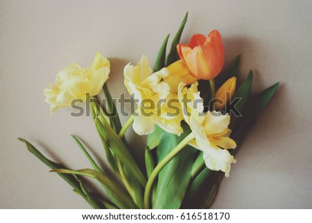 Bouquet of beautiful spring tulip flowers on light background.