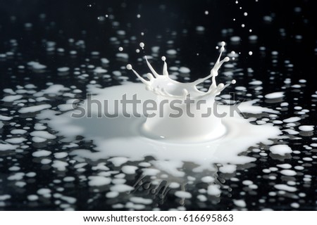 Milk Splash on Black Background
