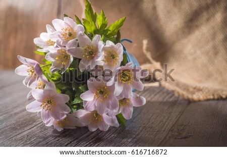Anemone nemorosa white on a wooden background