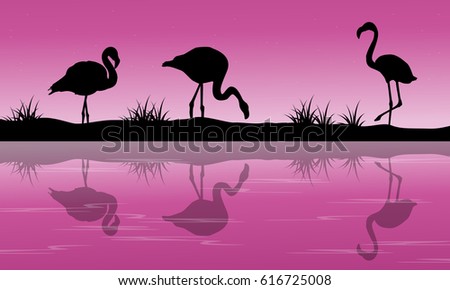 Lake scenery flamingo silhouette at sunset