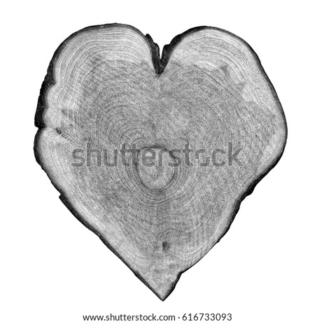 Black and white tree rings. Tree stump with annual rings as a wood pattern. 