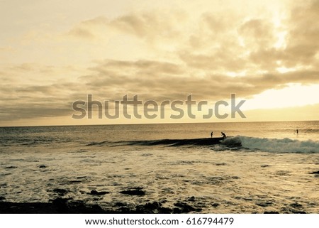 SURFERS ON THE BEACH SANTA MARIA AT SUNSET , SAL ISLAND, CAPE VERDE 

