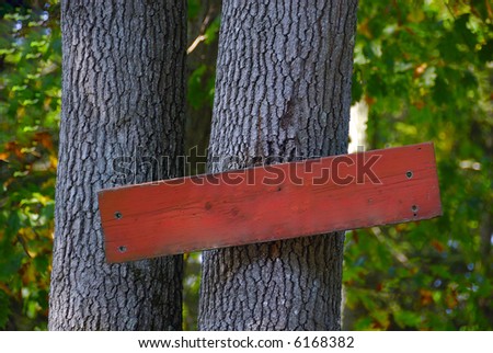 An Empty signboard on a tree bark in wild