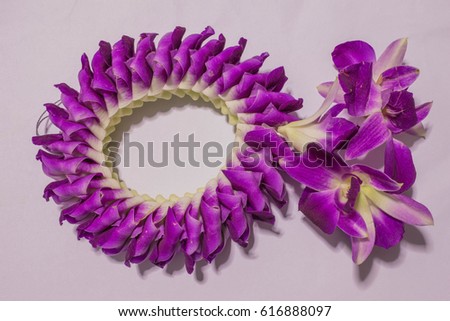Orchid flowers