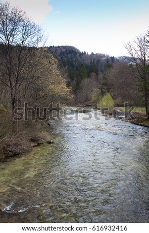 Forest mountain river spring alps