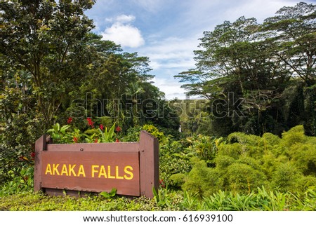 Akaka Falls on the big island of Hawaii, state of Hawaii. Royalty-Free Stock Photo #616939100