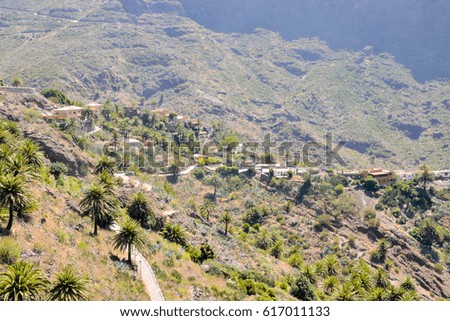 Photo Picture of a Valley in the Canary Islands