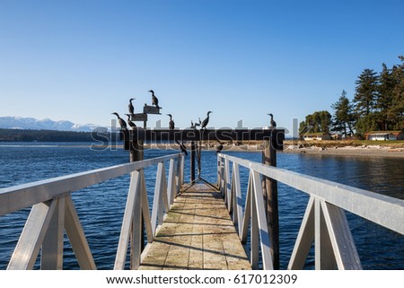 Birds sitting at the end of the quay. Picture taken in Hornby Island, British Columbia, Canada.