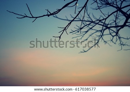 Silhouette tree on mountain peak with blue sky at sunset background in winter season