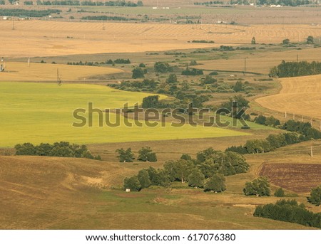 Summer in the freshly plowed field, straw in stacks, poplars