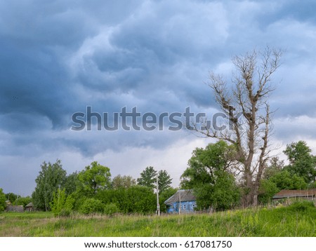 Old dried-up tree with nests on branches against thundercloud vortex background in village
