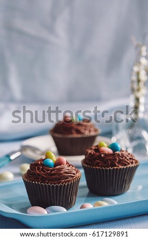 palatable chocolate cupcakes decorated with skittles served on the blue tray