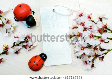 Lady-bugs posed as wooden background with cherry blossoms ,mockup 
