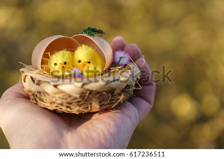 person hand holding neat with two little easter chicken.