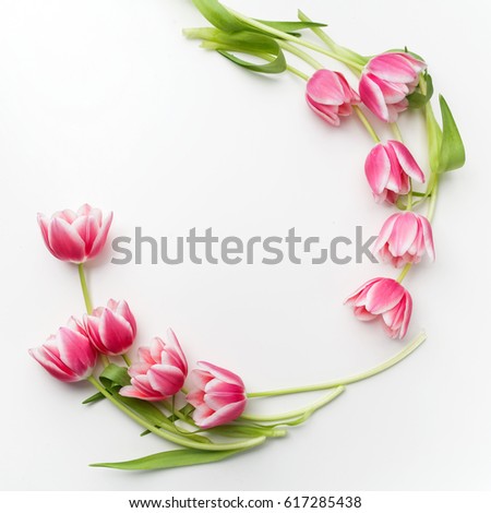 Round frame with tulips flowers. Flat lay