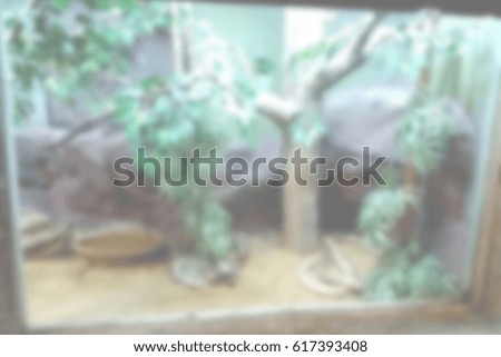 blurred photo, Blurry image, animals in the zoo , background