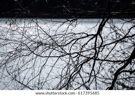 view to the mountain river in summer surrounded by forest and blurred background water rings