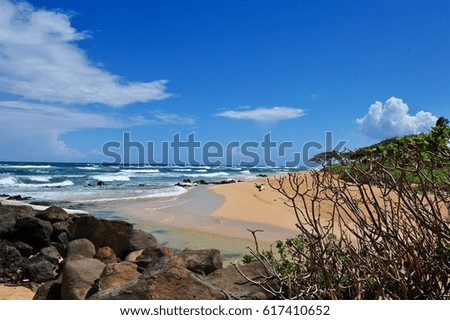 Wild untouched beach of Kauai. Hawaii