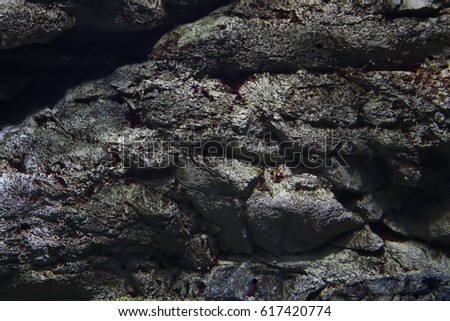 Stone background in the aquarium