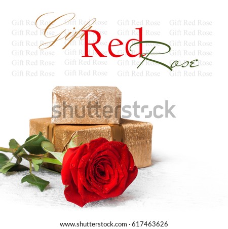 Red rose with green leaves and water drops with gift isolated on white background