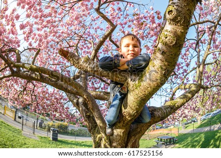 School boy on the blossoming tree