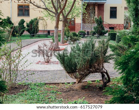 Perspective View of Various Color Grunge Brick Stone on The Ground for Street Road. Sidewalk, Driveway, Pavers, Pavement in Vintage Design Flooring Hexagon Pattern Texture Background,the bushes around