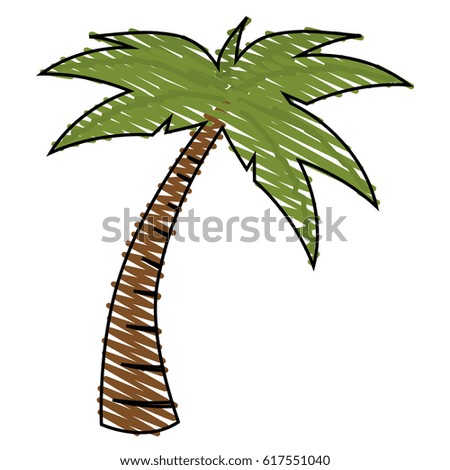tree palm tropical icon