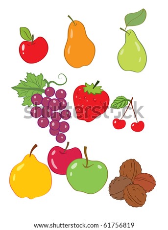 Vector illustration, coloured fruits, cartoon concept, white background.