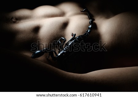 Beautiful abs and they are poisonous Scorpio