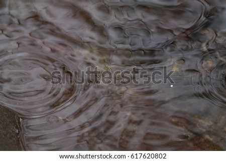 Raindrop and Ripples in Water