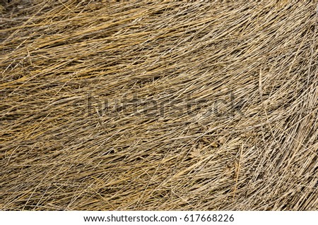 Lying dry grass background. Dry grass lying in a continuous layer. 