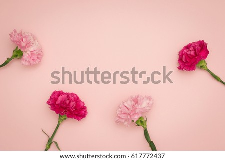 Flower, composition flat lay