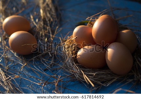 Eggs useful