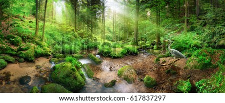 Enchanting panoramic forest scenery with soft light falling through the foliage, a stream with tranquil water and a heron Royalty-Free Stock Photo #617837297