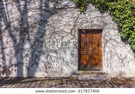 Door with plant texture