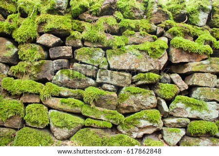 Mossy Stone Wall Royalty-Free Stock Photo #617862848