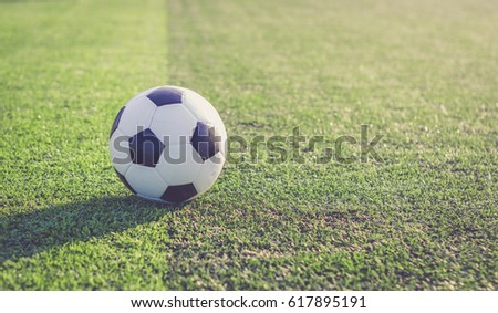 soccer field / soft focus picture 
